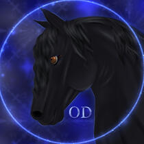 Orion Dressage Orion Dressage